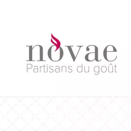 Serviettes 33x33 2c 1/4 impr. NOVAE Partisans du goût